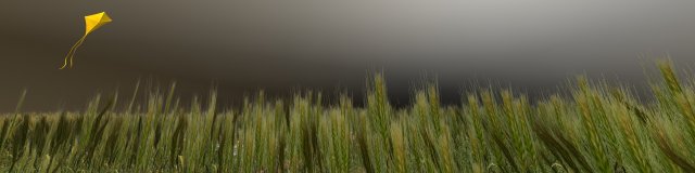 wheatfield Modèle 3D .c4d .max .obj .3ds .fbx .stl .blend 