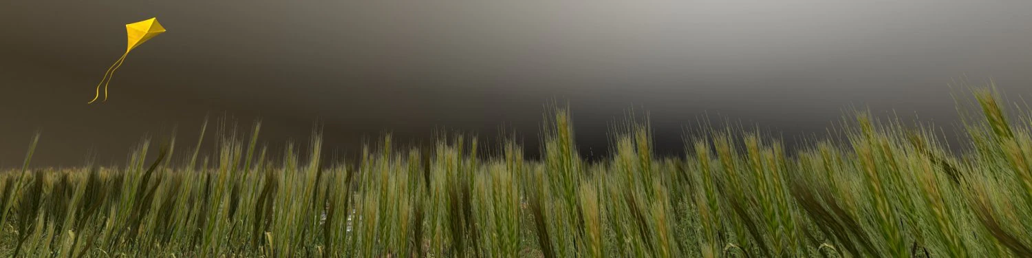 wheatfield 3D Model .c4d .max .obj .3ds .fbx .stl .blend 