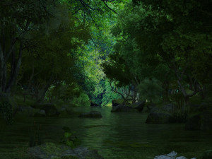 rainforest Modèle 3D