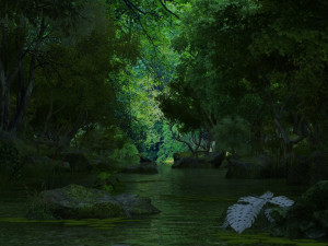 rainforest Modelo 3D