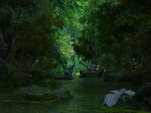 rainforest 3D Model