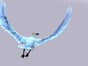heron 3D Model