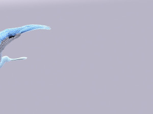 heron 3D Model