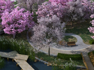 taman bunga sakura Model 3D