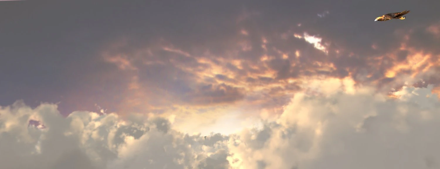 aquila Modello 3D .c4d .max .obj .3ds .fbx .stl .blend 