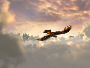 eagle Modelo 3D