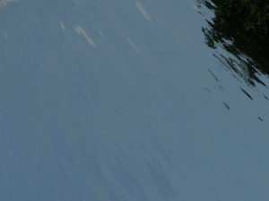 river 3Dモデル
