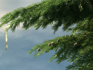 northeast rural 3D Model