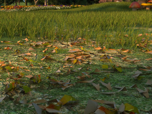 seed germination 3D-Modell