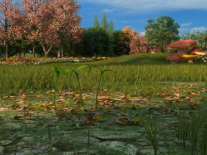 seed germination Modelo 3D