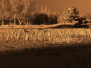 seed germination Modelo 3D