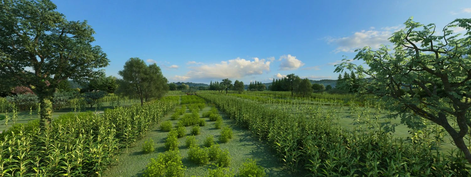 northeast rural 3D Model .c4d .max .obj .3ds .fbx .stl .blend 