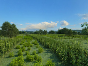 northeast rural 3D Model