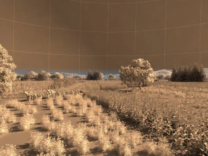 northeast rural 3D Model