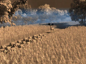 northeast rural 3D Model