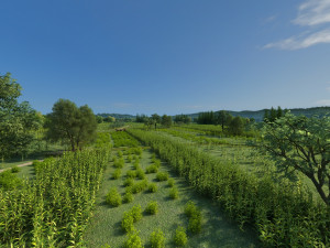 northeast rural 3D Model