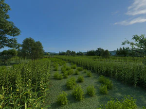 northeast rural 3D Model