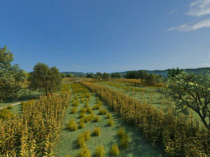 northeast rural 3D Model