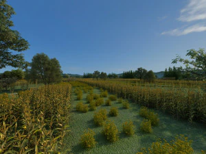 northeast rural 3D Model