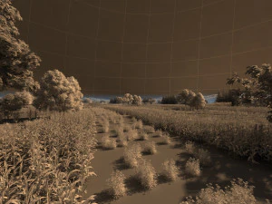 northeast rural 3D Model