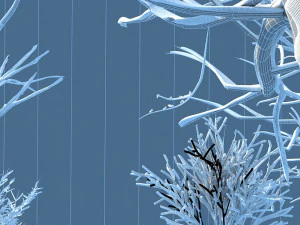plum blossom 3D Model
