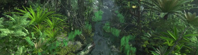 rain forest 3D 模型 .c4d .max .obj .3ds .fbx .stl .blend 