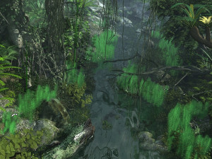 rain forest Modelo 3D
