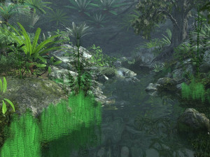 rain forest 3D 模型