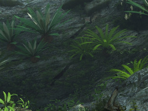 rain forest 3D 模型