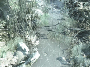 rain forest 3D Model