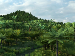rain forest 3D Model