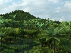 rain forest 3D Model