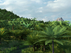 rain forest 3D Model