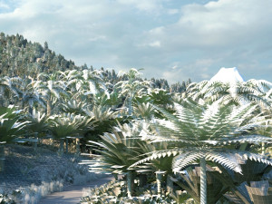 rain forest 3D Model