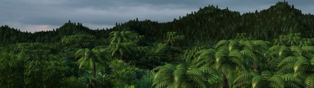 rain forest Model 3D .c4d .max .obj .3ds .fbx .stl .blend 