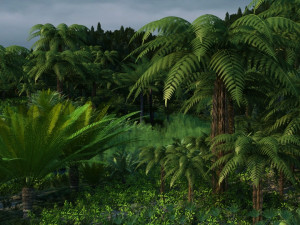 rain forest Model 3D