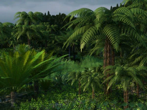 rain forest 3D Model