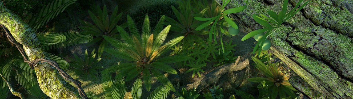 rain forest 3D Model .c4d .max .obj .3ds .fbx .stl .blend 