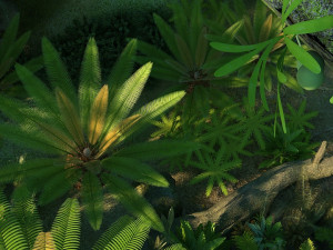 rain forest 3D Model