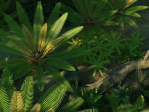 rain forest Model 3D