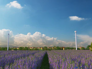 ラベンダー 3Dモデル