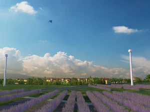 lavender 3D Model