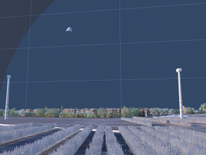 lavender 3D Модель
