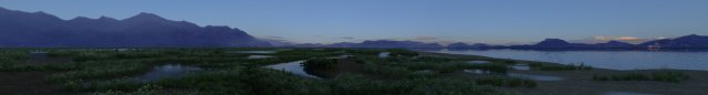 wetlands 3Dモデル .c4d .max .obj .3ds .fbx .stl .blend 