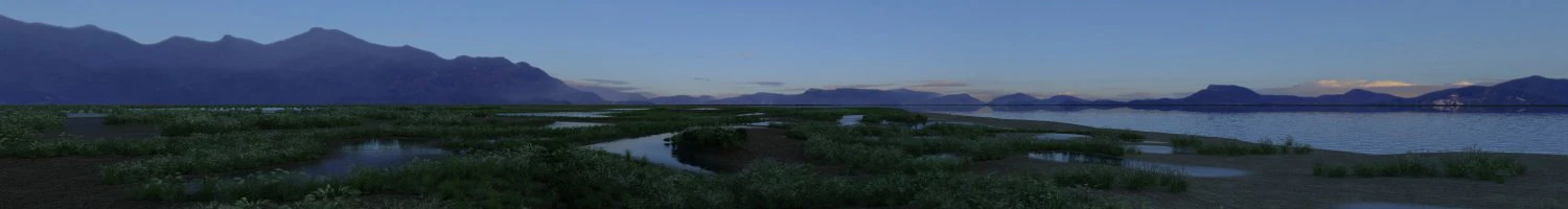 wetlands 3D Model .c4d .max .obj .3ds .fbx .stl .blend