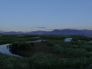 wetlands 3Dモデル