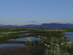 wetlands 3Dモデル