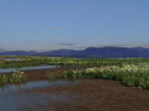 wetlands 3Dモデル