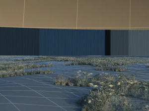 wetlands 3D Model