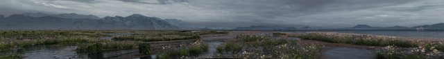 wetlands 3Dモデル .c4d .max .obj .3ds .fbx .stl .blend 